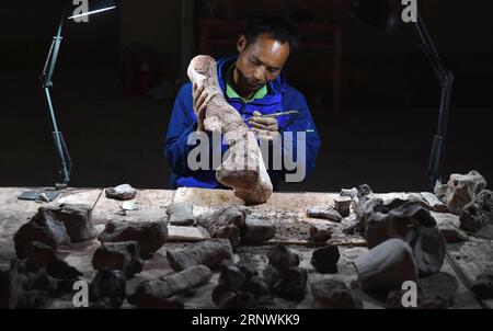 (171224) -- KUNMING, 24 décembre 2017 -- Un membre du personnel rénove des fossiles de dinosaures dans la World Dinosaur Valley dans le comté de Lufeng, province du Yunnan au sud-ouest de la Chine, 23 décembre 2017. La Lufeng World Dinosaur Valley, un parc à thème consacré aux dinosaures, exposait plus de 100 fossiles d'une variété de dinosaures. (Wyo) CHINA-YUNNAN-LUFENG-DINOSAUR PARK (CN) LinxYiguang PUBLICATIONxNOTxINxCHN Banque D'Images