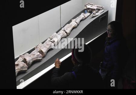 (171224) -- KUNMING, 24 décembre 2017 -- des touristes voient des fossiles de dinosaures dans la World Dinosaur Valley dans le comté de Lufeng, dans la province du Yunnan, au sud-ouest de la Chine, le 23 décembre 2017. La Lufeng World Dinosaur Valley, un parc à thème consacré aux dinosaures, exposait plus de 100 fossiles d'une variété de dinosaures. (Wyo) CHINA-YUNNAN-LUFENG-DINOSAUR PARK (CN) LinxYiguang PUBLICATIONxNOTxINxCHN Banque D'Images