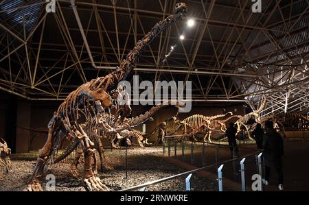 (171224) -- KUNMING, 24 décembre 2017 -- des touristes voient des fossiles de dinosaures dans la World Dinosaur Valley dans le comté de Lufeng, dans la province du Yunnan, au sud-ouest de la Chine, le 23 décembre 2017. La Lufeng World Dinosaur Valley, un parc à thème consacré aux dinosaures, exposait plus de 100 fossiles d'une variété de dinosaures. (Wyo) CHINA-YUNNAN-LUFENG-DINOSAUR PARK (CN) LinxYiguang PUBLICATIONxNOTxINxCHN Banque D'Images