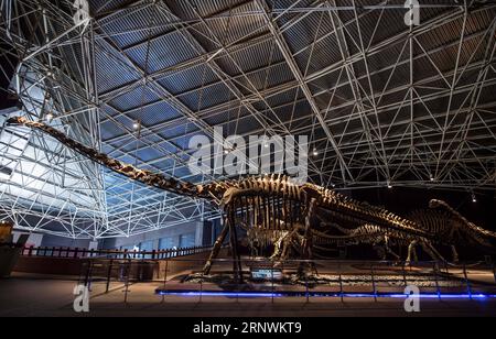 (171224) -- KUNMING, 24 décembre 2017 -- Un fossile de dinosaure de 27 mètres de long et 6,5 mètres de haut a été vu dans la World Dinosaur Valley dans le comté de Lufeng, province du Yunnan au sud-ouest de la Chine, le 23 décembre 2017. La Lufeng World Dinosaur Valley, un parc à thème consacré aux dinosaures, exposait plus de 100 fossiles d'une variété de dinosaures. (Wyo) CHINA-YUNNAN-LUFENG-DINOSAUR PARK (CN) HuxChao PUBLICATIONxNOTxINxCHN Banque D'Images