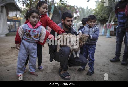 (171226) -- GAZA, 26 décembre 2017 -- Ahmad Joma a (C), propriétaire d'un zoo, tient des petits lions âgés de deux mois dans un zoo de Rafah, dans la ville de Rafah, dans le sud de la bande de Gaza, le 25 décembre 2017. Le propriétaire palestinien du zoo, Joma a, a mis en vente trois petits lions, craignant qu'il ne soit pas en mesure de se permettre de les nourrir pendant qu'ils grandissent. )(axy) MIDEAST-GAZA-LION-CUBS WissamxNassar PUBLICATIONxNOTxINxCHN Banque D'Images