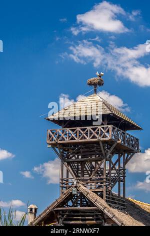 2 cigognes sur la cheminée de la tour d'observation de la nature Banque D'Images