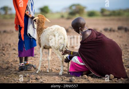 (180113) -- NAIROBI, 13 janvier 2018 -- Une femme masaï traite un mouton dans un village masaï du parc national d'Amboseli, Kenya, 9 janvier 2018.) (nxl) KENYA-MASAI VILLAGE-LIFE LyuxShuai PUBLICATIONxNOTxINxCHN Banque D'Images