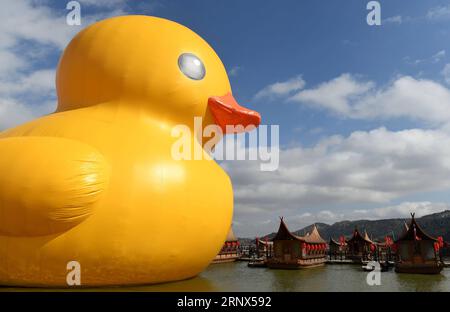 (180113) -- KUNMING, 13 janvier 2018 -- le canard en caoutchouc est vu à Kunming, capitale de la province du Yunnan du sud-ouest de la Chine, le 13 janvier 2018. L'idée originale de l'artiste néerlandais Florentijn Hofman, le canard gonflable géant en caoutchouc, sera exposée jusqu'au 2 mars. ) (Lhy) CANARD EN CAOUTCHOUC CHINA-YUNNAN-KUNMING (CN) LinxYiguang PUBLICATIONxNOTxINxCHN Banque D'Images