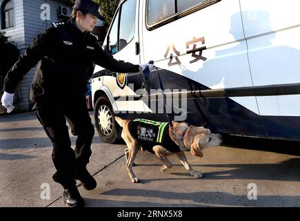 (180114) -- SHANGHAI, le 14 janvier 2018 -- Un policedog reçoit une formation en détection d'explosifs à Shanghai, dans l'est de la Chine, le 14 janvier 2018. La 10e division de l'escadron d'enquête criminelle du Bureau de la sécurité publique de Shanghai compte plus de 100 policiers. Les chiens ont dû garder un entraînement quotidien même en hiver froid afin de maintenir leur mémoire et d'autres capacités.) (Qxy) CHINA-SHANGHAI-POLICEDOG TRAINING (CN) FanxJun PUBLICATIONxNOTxINxCHN Banque D'Images