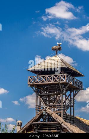 2 cigognes sur la cheminée de la tour d'observation de la nature Banque D'Images