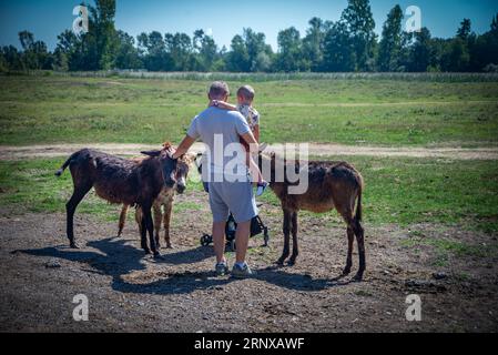 13. 08..2023 Zasavica, Serbie, Père et enfant câlinent des ânes dans la réserve naturelle de Zasavica, Serbie Banque D'Images