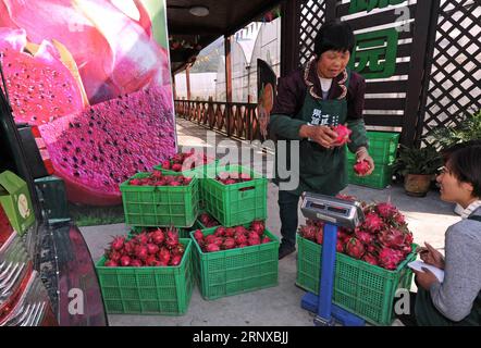 (180121) -- HANGZHOU, le 21 janvier 2018 -- les travailleurs de la société de science et de technologie agricoles Ruide pèsent les fruits du dragon pour les vendre dans la ville de Jiande, province du Zhejiang dans l'est de la Chine, le 24 novembre 2017. Le revenu disponible rural par habitant du Zhejiang a atteint 24 956 yuans (3 900 dollars des États-Unis) en 2017, en hausse de 9,1 pour cent d'une année sur l'autre, selon les dernières statistiques. Ce chiffre a dépassé les provinces et les régions autonomes de la Chine pendant 33 années consécutives. ) (Ry) CHINE-ZHEJIANG-REVENUS RURAUX (CN) TanxJin PUBLICATIONxNOTxINxCHN Banque D'Images