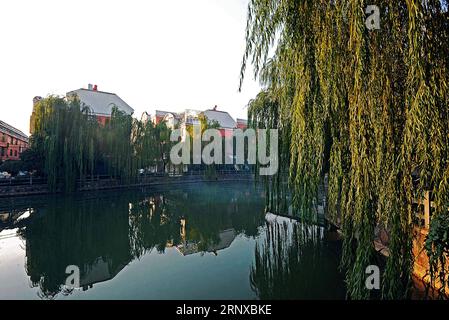 (180121) -- HANGZHOU, 21 janvier 2018 -- la photo prise le 21 décembre 2017 montre le paysage du village de Qiyi dans la ville de Yiwu, province du Zhejiang dans l'est de la Chine. Le revenu disponible rural par habitant du Zhejiang a atteint 24 956 yuans (3 900 dollars des États-Unis) en 2017, en hausse de 9,1 pour cent d'une année sur l'autre, selon les dernières statistiques. Ce chiffre a dépassé les provinces et les régions autonomes de la Chine pendant 33 années consécutives. ) (Ry) CHINE-ZHEJIANG-REVENUS RURAUX (CN) TanxJin PUBLICATIONxNOTxINxCHN Banque D'Images