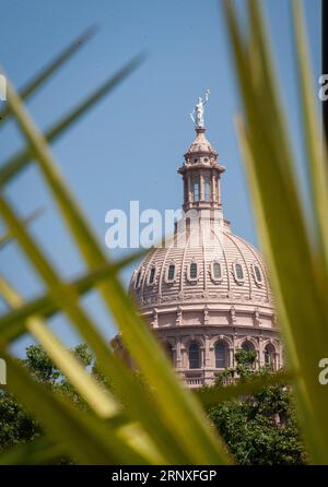 Austin, Texas, États-Unis. 21 juillet 2023. 1 septembre 2023. Le dôme du Capitole de l'État du Texas vu à travers les frondes de cactus a reçu une rénovation intérieure et extérieure complète dans les années 1990 Le bâtiment est construit à partir de calcaire local et Texas Sunset Red Granite provenant d'une carrière dans le comté de Burnet. La construction a commencé en 1882 et a été achevée en mai 1888 à Austin, Texas (image de crédit : © Ralph Lauer/ZUMA Press Wire) USAGE ÉDITORIAL SEULEMENT! Non destiné à UN USAGE commercial ! Banque D'Images