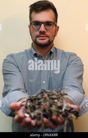 (180203) -- ATHÈNES, 3 février 2018 -- Stravros Tsompanidis montre des feuilles mortes d'herbe de mer à Athènes, Grèce, le 31 janvier 2018. Des centaines de tonnes de feuilles mortes d'herbe de mer sont échouées sur les côtes grecques chaque année. La plupart d'entre eux finissent dans les décharges sous forme de déchets. Grâce au jeune innovateur grec Stravros Tsompanidis, fondateur de la start-up PHEE, une quantité croissante de ces trois dernières années a reçu une seconde vie après avoir été transformée en produits uniques, utiles et écologiques. La photo va avec l'article intitulé Feature : jeune innovateur grec donne une seconde vie aux feuilles mortes d'herbe de mer Banque D'Images