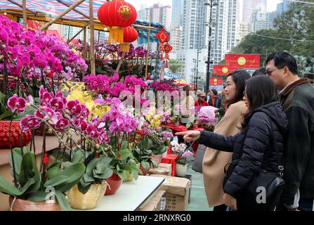 (180211) -- HONG KONG, 11 février 2018 -- les gens choisissent des orchidées phalaenopsis lors de la foire lunaire du nouvel an 2018 à Victoria Park dans le sud de la Chine, Hong Kong, le 10 février 2018. La foire de sept jours qui a commencé samedi attire un grand nombre de personnes à visiter.) (ly) CHINA-HONG KONG-LUNAR NEW YEAR FESTIVAL-FAIR LixPeng PUBLICATIONxNOTxINxCHN Banque D'Images