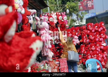 (180214) -- LE CAIRE, 14 février 2018 -- Une femme choisit des cadeaux dans un magasin de fleurs le jour de la Saint-Valentin au Caire, en Égypte, le 14 février 2018.) (lrz) EGYPTE-CAIRE-SAINT VALENTIN AhmedxGomaa PUBLICATIONxNOTxINxCHN Banque D'Images