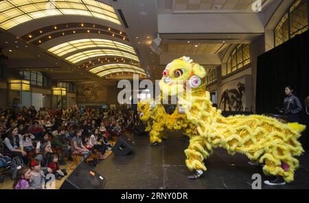 (180219) -- TORONTO, le 19 février 2018 -- des gens regardent une performance de danse du lion lors de la réception du nouvel an chinois et du week-end de la fête de la famille de Toronto 2018 au Musée royal de l'Ontario (ROM) à Toronto, Canada, le 18 février 2018. Mettant en vedette la découpe de papier chinois, la calligraphie, la danse du lion et plus encore, cet événement annuel du nouvel an chinois a débuté dimanche pour attirer des centaines de visiteurs pour célébrer le nouvel an lunaire chinois du chien au Musée royal de l'Ontario à Toronto. ) (srb) CANADA-TORONTO-CHINE NOUVEL AN-CÉLÉBRATION AU MUSÉE ZouxZheng PUBLICATIONxNOTxINxCHN Banque D'Images