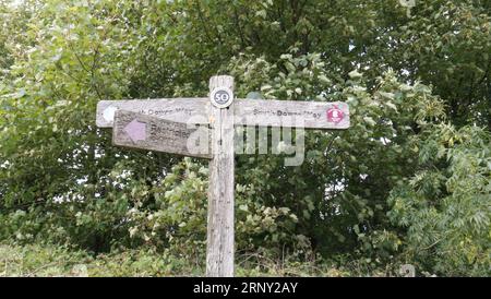 Sentier pédestre et panneau routier, South Downs, Sussex, Angleterre, Royaume-Uni Banque D'Images