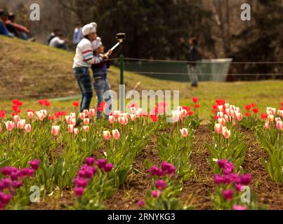 (180325) -- CACHEMIRE, 25 mars 2018 -- des enfants prennent un selfie dans un jardin de tulipes à Srinagar, capitale estivale du Cachemire contrôlé par l'Inde, le 25 mars 2018.) (Zxj) KASHMIR-SRINAGAR-TULIP GARDEN-OPEN JavedxDar PUBLICATIONxNOTxINxCHN, SOUS CONTRÔLE INDIEN Banque D'Images