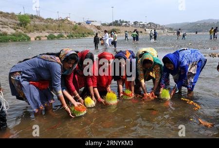 (180325) -- JAMMU, 25 mars 2018 -- les dévots hindous submergent Saakhs ou des jeunes arbres d'orge représentant la déesse Durga dans la rivière Tawi le dernier jour de Navratri, un festival hindou à Jammu, la capitale hivernale du Cachemire contrôlé par l'Inde le 25 mars 2018.) (Zxj) INDIA-JAMMU-NAVRATRI FESTIVAL Stringer PUBLICATIONxNOTxINxCHN Banque D'Images