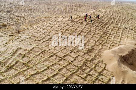 (180327) -- ZHANGYE, 27 mars 2018 -- des volontaires de lutte contre la désertification renforcent une barrière de sable en damier de paille dans le comté de Linze de Zhangye, province du Gansu, au nord-ouest de la Chine, 27 mars 2018. Plus des deux tiers du comté de Linze est couvert par le désert. Depuis des années, le comté a pris des mesures efficaces dans la lutte contre la désertification. (lmm) CHINA-GANSU-DESERT CONTROL (CN) WangxJiang PUBLICATIONxNOTxINxCHN Banque D'Images