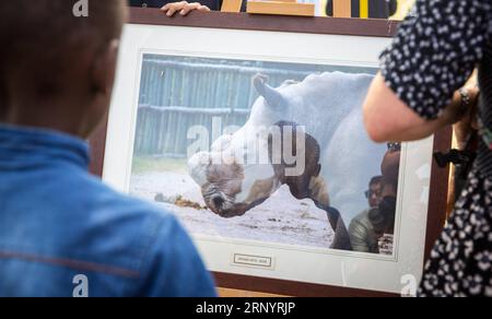 (180331) -- LAIKIPIA (KENYA), 31 mars 2018 -- les gens regardent une photo du Soudan, le seul rhinocéros blanc mâle du nord du monde tardif, lors du service commémoratif à la conservation OL Pejeta dans le comté de Laikipia, au nord du Kenya, le 31 mars 2018. Samedi, les responsables kényans de la protection de la faune et de la flore sauvages ont convergé à OL Pejeta Conservancy, dans le nord du Kenya, où a eu lieu un service commémoratif en l'honneur du seul rhinocéros blanc mâle du nord du dernier monde, affectueusement nommé Soudan. KENYA-LAIKIPIA-MÂLE TARDIF RHINO-SOUDAN-MEMORIAL SERVICE LYUXSHUAI PUBLICATIONXNOTXINXCH Banque D'Images