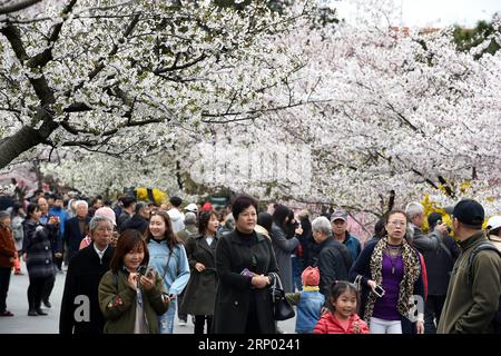 (180413) -- QINGDAO, 13 avril 2018 -- les touristes apprécient la vue des cerisiers en fleurs au parc Zhongshan à Qingdao, province du Shandong dans l est de la Chine, le 13 avril 2018.) (Xzy) CHINA-QINGDAO-SPRING VIEWS (CN) LixZiheng PUBLICATIONxNOTxINxCHN Banque D'Images