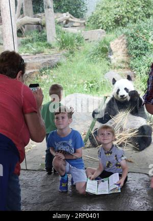 (180417) -- CANBERRA, 17 avril 2018 -- les visiteurs prennent des photos avec Funi, la femelle panda, qui prend son petit déjeuner en bambou, au zoo d'Adelaide, Australie méridionale, le 13 avril 2018. Wangwang et Funi sont le couple de pandas chinois qui vivent au zoo d'Adélaïde depuis 2009. )(gj) AUSTRALIA-CANBERRA-GIANT PANDAS XuxHaijing PUBLICATIONxNOTxINxCHN Banque D'Images