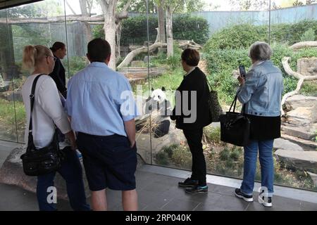 (180417) -- CANBERRA, le 17 avril 2018 -- les visiteurs regardent Funi, la panda femelle, prendre son petit déjeuner en bambou, au zoo d'Adelaide, Australie méridionale, le 13 avril 2018. Wangwang et Funi sont le couple de pandas chinois qui vivent au zoo d'Adélaïde depuis 2009. )(gj) AUSTRALIA-CANBERRA-GIANT PANDAS XuxHaijing PUBLICATIONxNOTxINxCHN Banque D'Images