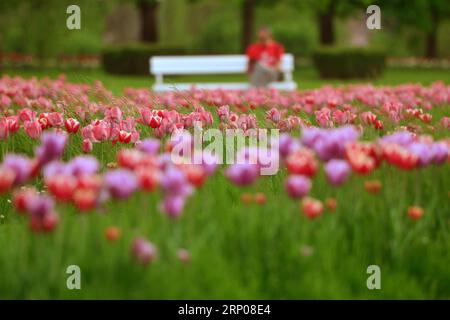 (180425) -- KAMNIK (SLOVÉNIE), le 25 avril 2018 -- des tulipes sont observées à l'arboretum Volcji Potok près de Kamnik, Slovénie, le 25 avril 2018. Plus de deux millions de tulipes dans l'arboretum Volcji Potok et d'autres bulbes printaniers qui fleurissent fin avril annoncent l'arrivée du printemps. SLOVÉNIE-KAMNIK-TULIPES MaticxStojs PUBLICATIONxNOTxINxCHN Banque D'Images