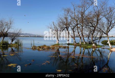 (180429) -- KUNMING, le 29 avril 2018 -- une photo de dossier prise le 6 février 2017 montre le lac Dian à Kunming, dans la province du Yunnan au sud-ouest de la Chine. Pour garder le fleuve Yangtsé propre et beau, des efforts pour restaurer l'environnement écologique ont été entrepris dans le cours supérieur du fleuve Yangtsé dans la province du Yunnan ces dernières années. )(wsw) CHINE-YUNNAN-RESTAURATION ÉCOLOGIQUE DE L'ENVIRONNEMENT (CN) LinxYiguang PUBLICATIONxNOTxINxCHN Banque D'Images