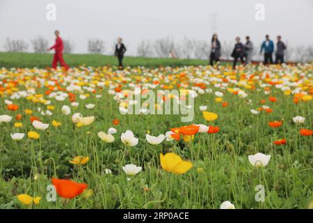 (180430) -- LIANYUNGANG, 30 avril 2018 -- les visiteurs apprécient les fleurs dans le comté de Guanyun, ville de Lianyungang dans la province du Jiangsu de l'est de la Chine, le 30 avril 2018. Les gens en Chine passent leurs vacances de la fête du travail de diverses manières. ) (Zwx) CHINE-FÊTE DU TRAVAIL VACANCES-TOURISME (CN) WuxChenguang PUBLICATIONxNOTxINxCHN Banque D'Images