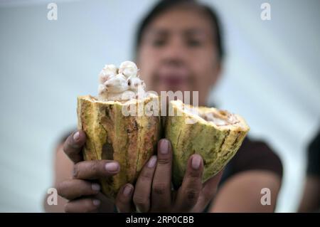 (180505) -- MEXICO, 5 mai 2018 -- une photo prise le 4 mai 2018 montre une femme présentant du cacao de Tabasco lors du Festival artisanal du chocolat et du cacao 2018, à Mexico, capitale du Mexique.) (jg) (rtg) (wtc) MEXICO-MEXICO CITY-CHOCOLAT ET CACAO FESTIVAL AlejandroxAyala PUBLICATIONxNOTxINxCHN Banque D'Images
