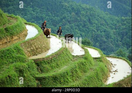 Themen der Woche kW 19 Bilder des Tages (180507) -- RONGJIANG, le 7 mai 2018 -- les villageois du groupe ethnique Miao travaillent dans les champs en terrasses dans un village ethnique Miao dans le comté de Rongjiang, province du Guizhou au sud-ouest de la Chine, le 7 mai 2018.) (Sxk) CHINA-GUIZHOU-RONGJIANG-TERRACE SCENERY (CN) YangxWenbin PUBLICATIONxNOTxINxCHN Banque D'Images