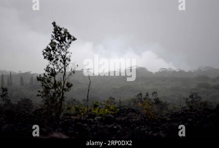 (180509) -- PAHOA, 9 mai 2018 -- la photo prise le 8 mai 2018 montre la fumée qui s'élève d'une fissure produisant de la lave et du gaz à Leilani Estate à Pahoa, Hawaii, États-Unis. L’éruption du volcan Kilauea a causé la destruction de 36 structures pouvant être évacuées par des centaines de personnes. Il y a 14 fissures produisant de la lave et du gaz à Leilani Estates, après les deux nouvelles formées mardi. (Zjl) ÉRUPTION DU VOLCAN US-HAWAII TaoxXiyi PUBLICATIONxNOTxINxCHN Banque D'Images