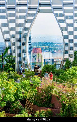 Vues sur le CBD vers le détroit de Singapour depuis le jardin du toit du 51e étage dans le bâtiment CapitaSpring conçu biophilique à Singapour Banque D'Images