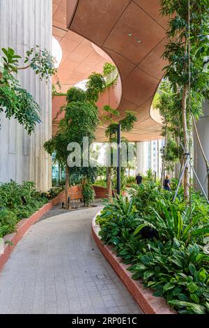 Le jardin Green Oasis de grande hauteur occupe les étages 17 à 20 dans le bâtiment écologique, CapitaSpring, 88 Market Street, Singapour Banque D'Images