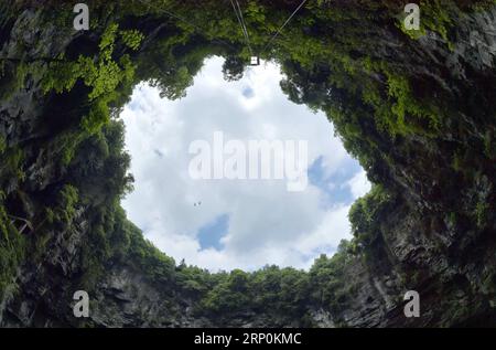 (180518) -- XUAN FR, 18 mai 2018 -- une photo prise le 17 mai 2018 montre des plantes à l'intérieur d'un gouffre dans le comté de Xuan en, province du Hubei au centre de la Chine. En raison du paysage karstique local et du climat humide, un gouffre de plus de 290 mètres de profondeur dans Xuan en est devenu la maison pour diverses plantes et animaux.) (Wyo) CHINA-HUBEI-XUAN en-SINKHOLE (CN) SongxWen PUBLICATIONxNOTxINxCHN Banque D'Images