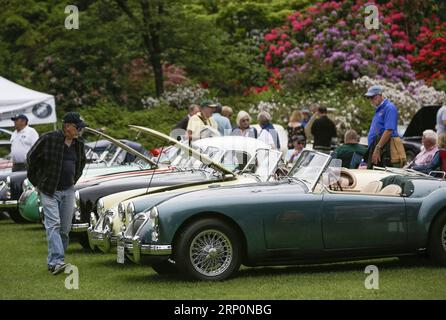 (180520) -- VANCOUVER, le 20 mai 2018 -- les visiteurs admirent différentes voitures anciennes britanniques au cours de la 33e édition annuelle All British Field Meet au Van Dusen Garden à Vancouver, Canada, le 19 mai 2018. Plus de 500 propriétaires de voitures britanniques et des milliers de passionnés de voitures se sont réunis ce week-end au Van Dusen Garden de Vancouver pour le 33e All British Field Meet annuel. C'est l'une des plus grandes fêtes de voitures anciennes dans l'Ouest canadien où les propriétaires de voitures et les amateurs peuvent se rencontrer et partager leurs histoires.) (YY) CANADA-VANCOUVER-ALL BRITISH FIELD RENCONTRE Liangxsen PUBLICATIONxNOTxINxCHN Banque D'Images