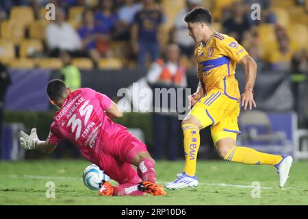 Monterrey, Mexique. 2 septembre 2023. 2 septembre 2023 ; Monterrey, Nuevo LeÃ³n, Mexique; Liga MX 2023 Apertura sixième tour match entre UANL Tigres et Querétaro FC au EstÃ¡dio UniversitÃ¡rio. #9 attaquant Tigres, NicolÃ¡s IbaÃ±ez vient avec le ballon bat #35 gardien Querétaro, Fernando Tapia et scores pour le rendre 5-0 crédit obligatoire : Toby Tande (image de crédit : © Torbjorn Tande/PX Imagens via ZUMA Press Wire) USAGE ÉDITORIAL SEULEMENT! Non destiné à UN USAGE commercial ! Crédit : ZUMA Press, Inc./Alamy Live News Banque D'Images