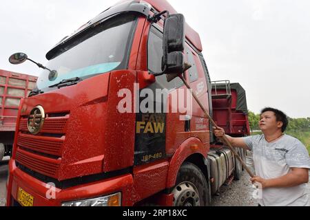 (180618) -- NANCHANG, 18 juin 2018 -- Peng Zhengyong, chauffeur engagé par Zou Yujiang, nettoie le camion avant de partir dans la ville de Gao an, dans la province de Jiangxi, dans l'est de la Chine, le 12 juin 2018. Zou Yujiang, 41 ans, est chauffeur de camion de la ville de Gao an de la province du Jiangxi. Il a passé la plupart de son temps sur la route, transportant des marchandises d'un endroit à un autre. Il y a eu plus de 21 millions d'employés dans l'industrie du transport routier de marchandises en Chine jusqu'à présent. Comme Zou Yujiang, la plupart d’entre eux gagnent leur vie sur des camions avec peu de temps en famille. Leurs efforts acharnés ont contribué à TH Banque D'Images