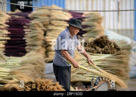 (180619) -- LAOTING, 19 juin 2018 -- Un homme fabrique un balai dans une coopérative professionnelle de balai dans la ville de Maozhuang du comté de Laoting, province du Hebei du nord de la Chine, 19 juin 2018. Maozhuang Town a une longue histoire dans les balais faits à la main. Ces dernières années, la ville a mis en place plusieurs coopératives professionnelles sur balai pour gérer cette industrie spécialisée de manière intensive. À l'heure actuelle, les balais produits dans la ville ont été vendus à de nombreux marchés étrangers tels que la Corée du Sud et le Japon, avec des recettes annuelles d'exportation atteignant plus de 20 millions de yuans (3,09 mln dollars américains). (SXK) CHINA-HEBEI-LAOTING-INDUSTRY-EXPORT (CN) M Banque D'Images