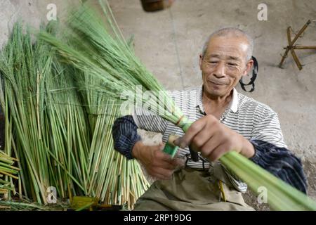 (180619) -- LAOTING, 19 juin 2018 -- Un homme fabrique un balai dans une coopérative professionnelle de balai dans la ville de Maozhuang du comté de Laoting, province du Hebei du nord de la Chine, 19 juin 2018. Maozhuang Town a une longue histoire dans les balais faits à la main. Ces dernières années, la ville a mis en place plusieurs coopératives professionnelles sur balai pour gérer cette industrie spécialisée de manière intensive. À l'heure actuelle, les balais produits dans la ville ont été vendus à de nombreux marchés étrangers tels que la Corée du Sud et le Japon, avec des recettes annuelles d'exportation atteignant plus de 20 millions de yuans (3,09 mln dollars américains). (SXK) CHINA-HEBEI-LAOTING-INDUSTRY-EXPORT (CN) M Banque D'Images