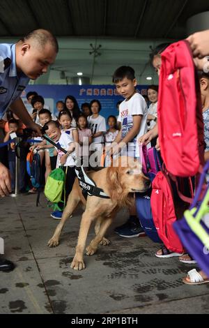 (180624) -- GUANGZHOU, 24 juin 2018 -- des enfants regardent la détection d'un chien renifleur de drogue à la douane de Guangzhou, capitale de la province du Guangdong du sud de la Chine, le 24 juin 2018. La douane de Guangzhou et le Palais des enfants n ° 2 de Guangzhou ont organisé dimanche conjointement la journée portes ouvertes pour que les enfants apprennent à connaître la lutte contre le trafic de drogue. (Yxb) CHINE-GUANGZHOU-CHIENS RENIFLEUR DE DROGUE (CN) LiangxXu PUBLICATIONxNOTxINxCHN Banque D'Images