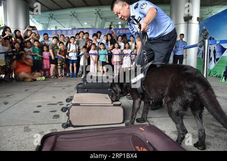 (180624) -- GUANGZHOU, 24 juin 2018 -- des enfants regardent la détection d'un chien renifleur de drogue à la douane de Guangzhou, capitale de la province du Guangdong du sud de la Chine, le 24 juin 2018. La douane de Guangzhou et le Palais des enfants n ° 2 de Guangzhou ont organisé dimanche conjointement la journée portes ouvertes pour que les enfants apprennent à connaître la lutte contre le trafic de drogue. (Yxb) CHINE-GUANGZHOU-CHIENS RENIFLEUR DE DROGUE (CN) LiangxXu PUBLICATIONxNOTxINxCHN Banque D'Images