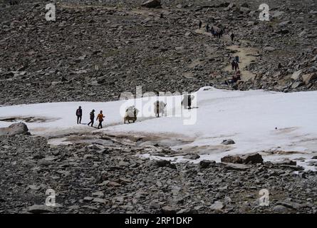 (180628) -- ALI, 28 juin 2018 -- des pèlerins indiens se rendent au mont Kangrinboqe, un site sacré hindou et bouddhiste, avec l'aide d'une équipe de transport de yak, dans la préfecture d'Ali, dans la région autonome du Tibet du sud-ouest de la Chine, le 25 juin 2018. Cette année, le col de Nathu la devrait voir environ 500 pèlerins officiellement organisés de l'Inde qui feront le pèlerinage de 2 874 km, selon Yang Zhigang, directeur adjoint du bureau des affaires étrangères et des affaires chinoises d'outre-mer dans la ville de Xigaze. )(mcg) CHINE-TIBET-ALI-PÈLERINS INDIENS (CN) LiuxDongjun PUBLICATIONxNOTxINxCHN Banque D'Images