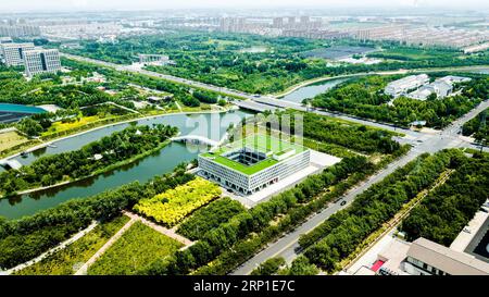 (180629) -- JINAN, 29 juin 2018 -- une photo aérienne prise le 24 juin 2018 montre des paysages du district de Kenli à Dongying, dans la province du Shandong de l'est de la Chine. Le fleuve jaune, le deuxième plus long fleuve de Chine, prend sa source sur le plateau Qinghai-Tibet et se jette dans la mer de Bohai depuis la ville de Dongying. La ville a fait des efforts pour promouvoir la civilisation écologique et accélérer la construction de la ville humide. )(MCG) CHINA-SHANDONG-DONGYING-AERIAL VIEW (CN) WuxGang PUBLICATIONxNOTxINxCHN Banque D'Images