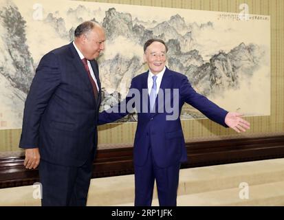 (180709) -- PÉKIN, le 9 juillet 2018 -- le vice-président chinois Wang Qishan (à droite) rencontre le ministre égyptien des Affaires étrangères Sameh Shoukry à Pékin, capitale de la Chine, le 9 juillet 2018. (lmm) CHINA-BEIJING-WANG QISHAN-EGYPT-FM-MEETING (CN) DingxLin PUBLICATIONxNOTxINxCHN Banque D'Images