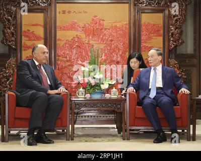 (180709) -- PÉKIN, le 9 juillet 2018 -- le vice-président chinois Wang Qishan (à droite, devant) rencontre le ministre égyptien des Affaires étrangères Sameh Shoukry à Pékin, capitale de la Chine, le 9 juillet 2018. (lmm) CHINA-BEIJING-WANG QISHAN-EGYPT-FM-MEETING (CN) DingxLin PUBLICATIONxNOTxINxCHN Banque D'Images