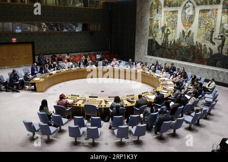 (180710) -- NATIONS UNIES, 10 juillet 2018 -- une photo prise le 10 juillet 2018 montre une réunion du Conseil de sécurité des Nations Unies au siège de l'ONU à New York. Le Conseil de sécurité discutera de la levée des sanctions contre l'Érythrée compte tenu de son accord avec l'Éthiopie pour mettre fin à leur état de guerre, ont déclaré mardi des diplomates. RÉUNION ONU-CONSEIL DE SÉCURITÉ-AFRIQUE LixMuzi PUBLICATIONxNOTxINxCHN Banque D'Images