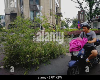 (180711) -- TAIZHOU, 11 juillet 2018 -- Un arbre est soufflé par le vent dans la rue Yinzuo dans la ville de Taizhou, dans la province du Zhejiang de l'est de la Chine, le 11 juillet 2018. Le typhon Maria, le huitième typhon de cette année, a touché terre vers 9:10 heures du matin mercredi dans le comté de Lianjiang au Fujian, apportant des coups de vent allant jusqu'à 42 mètres par seconde à ses yeux, selon les autorités météorologiques locales. (Yxb) CHINA-TYPHON MARIA-LANDFALL (CN) ChenxLincong PUBLICATIONxNOTxINxCHN Banque D'Images