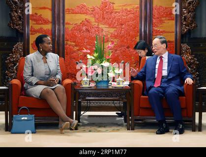 (180713) -- BEIJING, le 13 juillet 2018 -- le vice-président chinois Wang Qishan (R, front) rencontre le ministre botswanais des Affaires internationales et de la coopération, Unity Dow, à Beijing, capitale de la Chine, le 13 juillet 2018.) (lmm) CHINA-BEIJING-WANG QISHAN-BOTSWANA-FM-MEETING (CN) YaoxDawei PUBLICATIONxNOTxINxCHN Banque D'Images