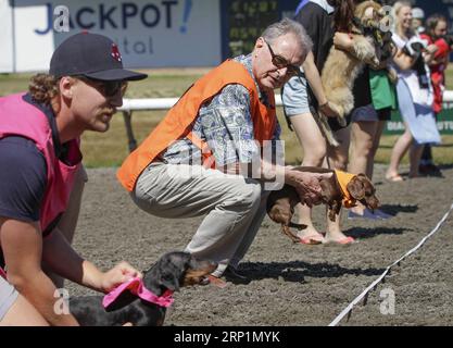 (180715) -- VANCOUVER, le 15 juillet 2018 -- les propriétaires de chiens et leurs chiens attendent à la ligne de départ de la course annuelle de chiens Wiener à Hastings Racecourse à Vancouver, Canada, le 14 juillet 2018.) (Jmmn) CANADA-VANCOUVER-WIENER RACE DE CHIENS LiangxSen PUBLICATIONxNOTxINxCHN Banque D'Images